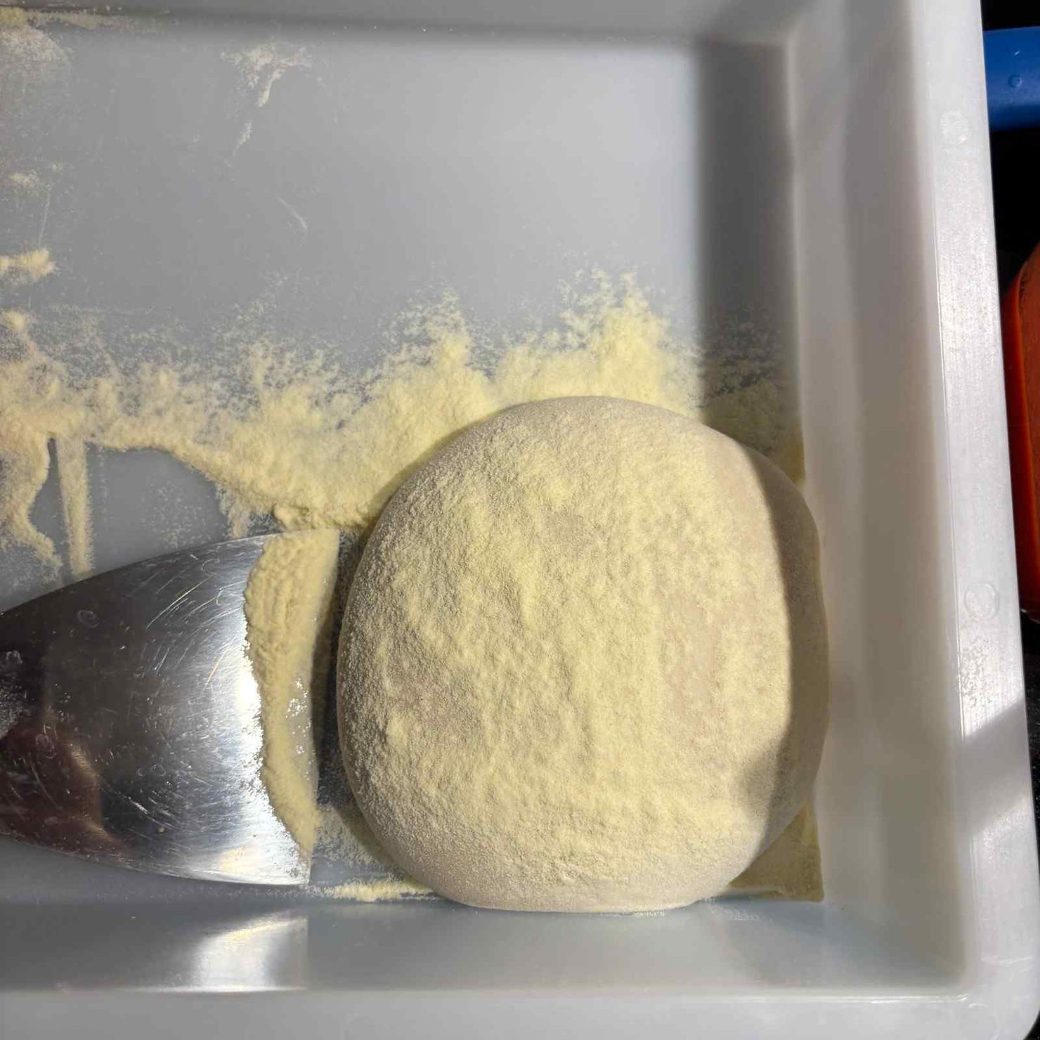 Pizza Teigling in Ballenbox